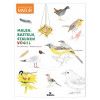 Expedition Natur: Malen, Basteln, Staunen - Vögel