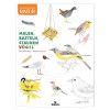 Expedition Natur: Malen, Basteln, Staunen - Vögel